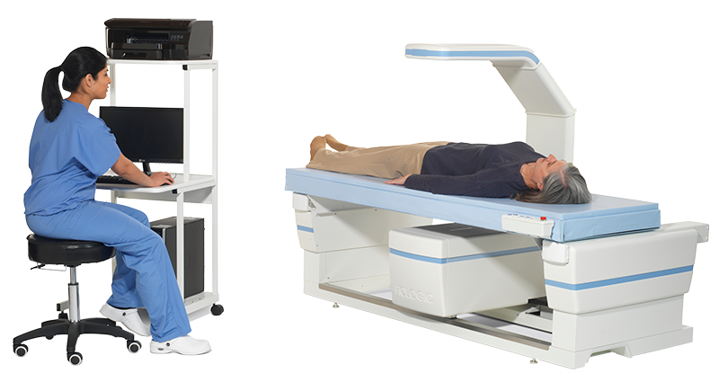 What Does a DEXA Body Composition Scan Actually Show About Your Health?
